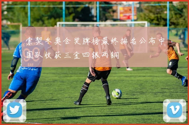 索契冬奥会奖牌榜最终排名公布中国队收获三金四银两铜