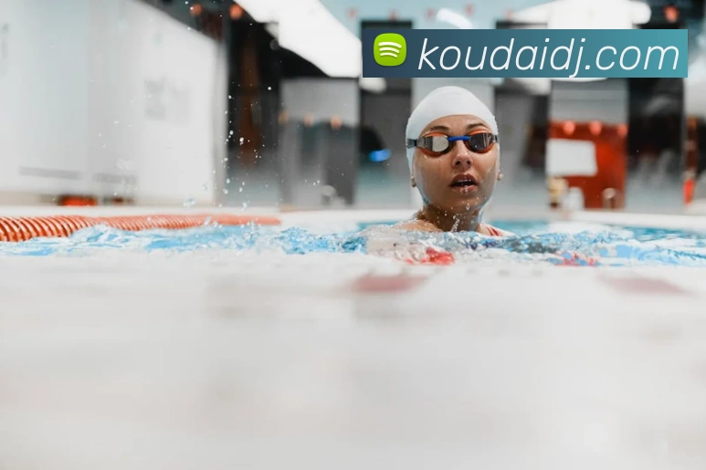 世界杯官网中文版平台生态图